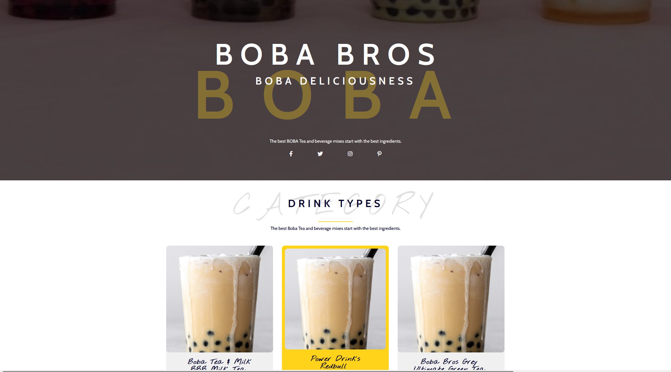 Website design example 4