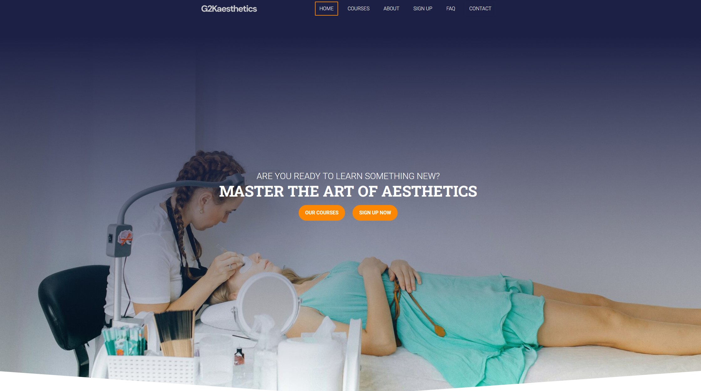 Website design example 5