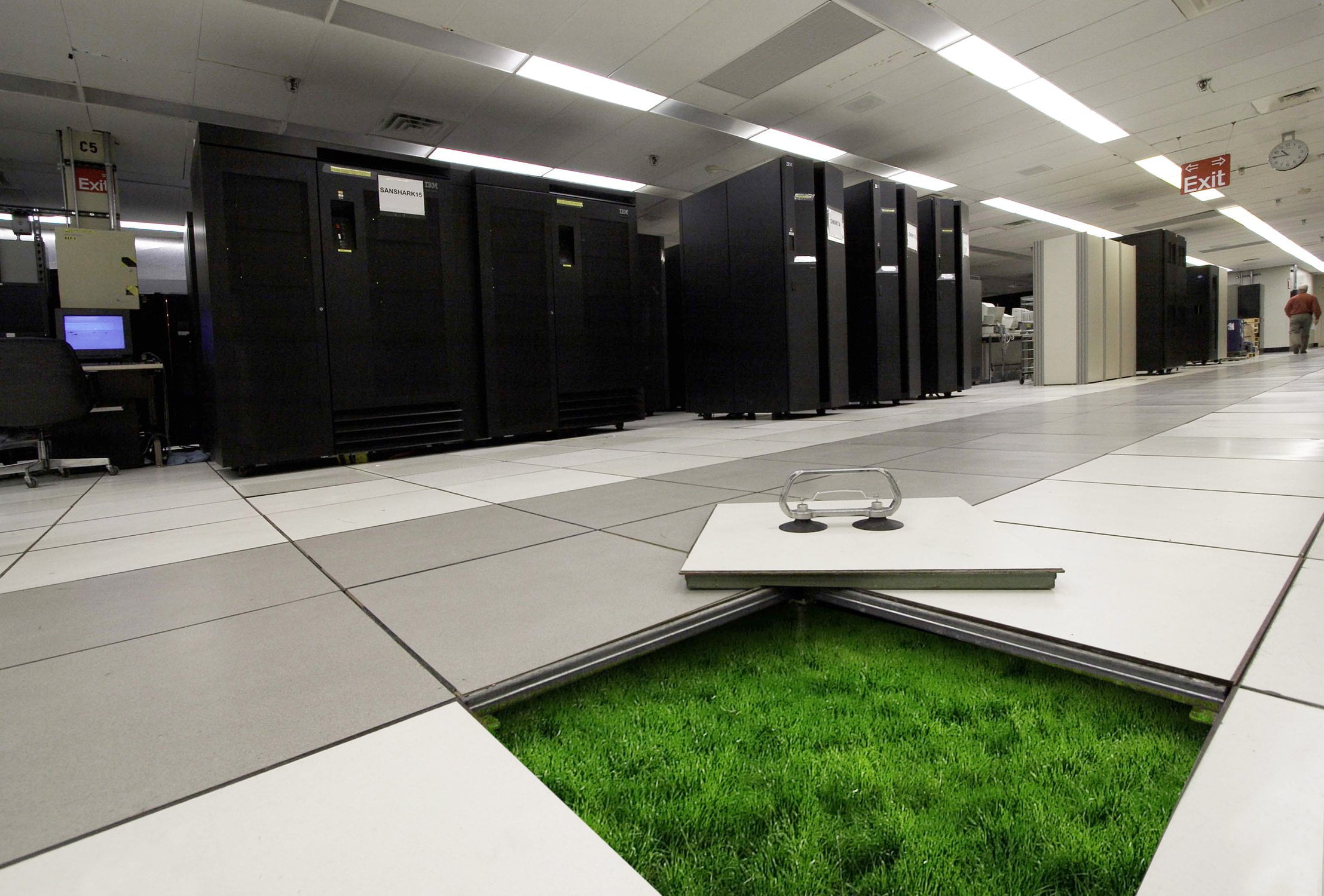 green web hosting