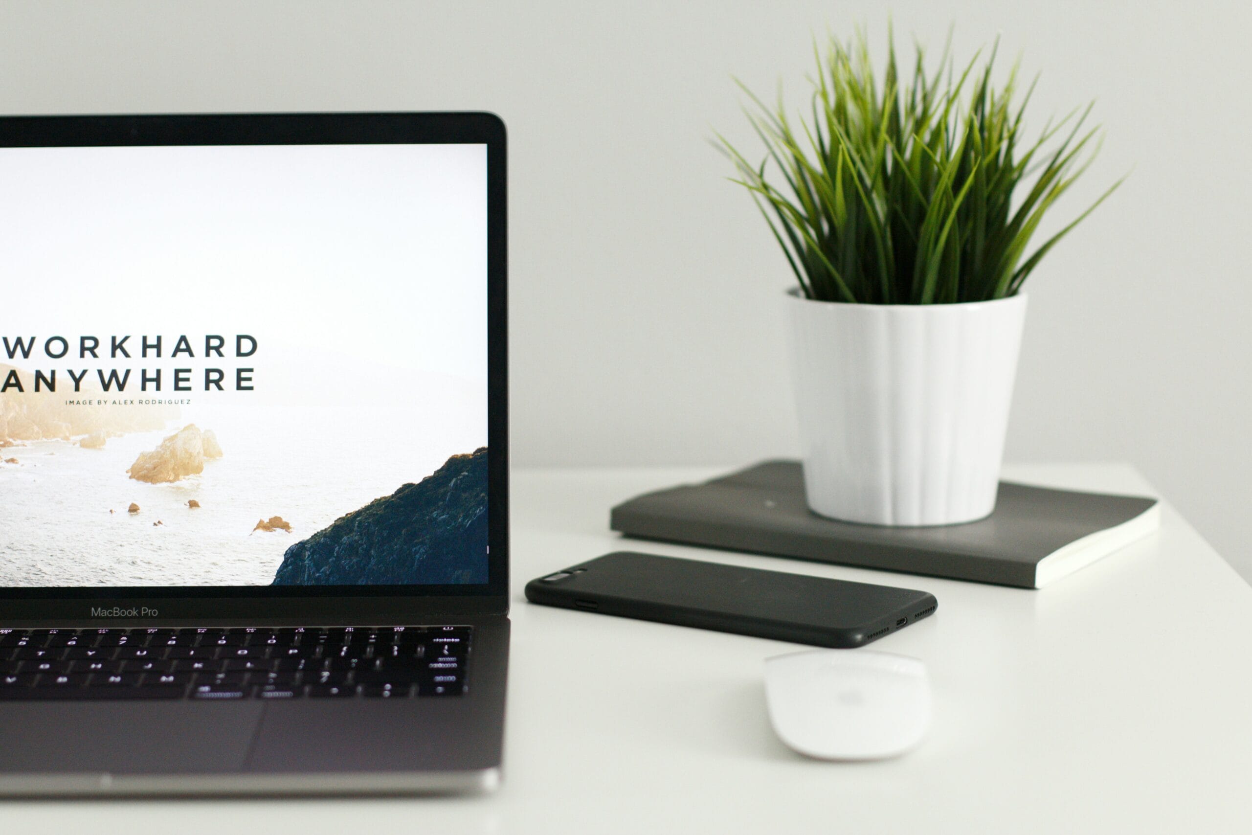 web host pro websites
